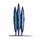 Skagit Regional Health logo